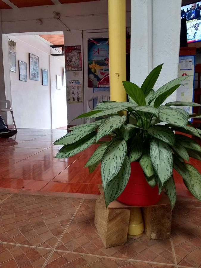 Hotel El Turista San Agustín Dış mekan fotoğraf